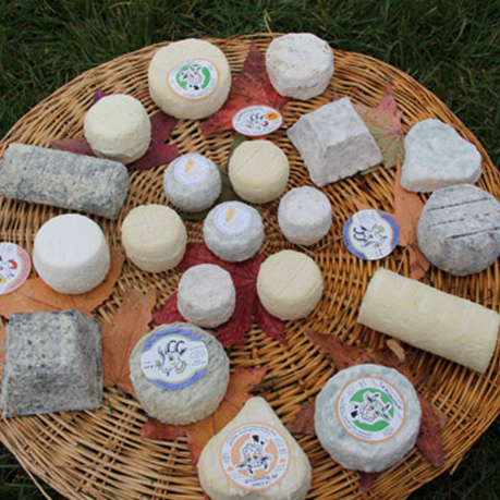 La vente de fromages et produits laitiers
