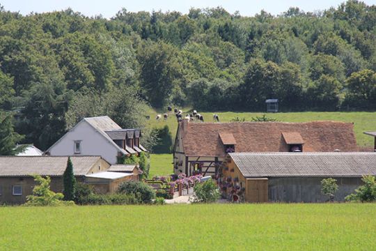 Ferme de Romecrot - Argent-sur-Sauldre - Paysage